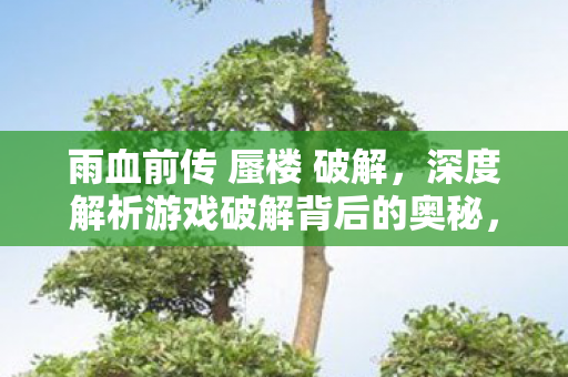 深度解析游戏破解背后的奥秘图片