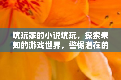 警惕潜在的风险与陷阱图片