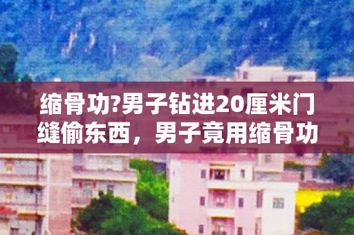男子竟用缩骨功钻入20厘米门缝偷窃图片