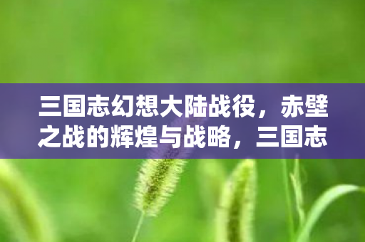 三国志幻想大陆赤壁之战图片