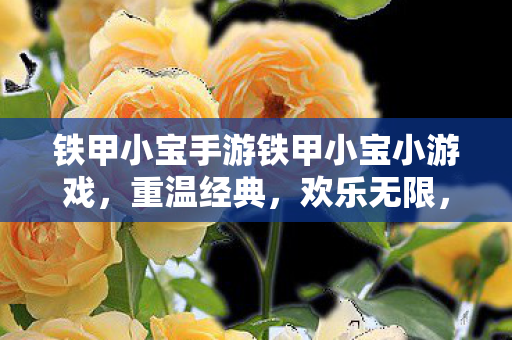 铁甲小宝手游铁甲小宝小游戏图片