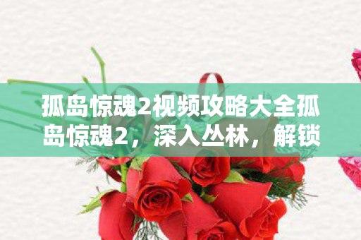 孤岛惊魂2视频攻略大全孤岛惊魂2图片
