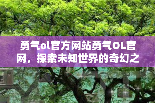 勇气ol官方网站勇气OL官网图片