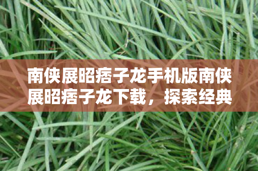 南侠展昭痞子龙手机版南侠展昭痞子龙下载图片