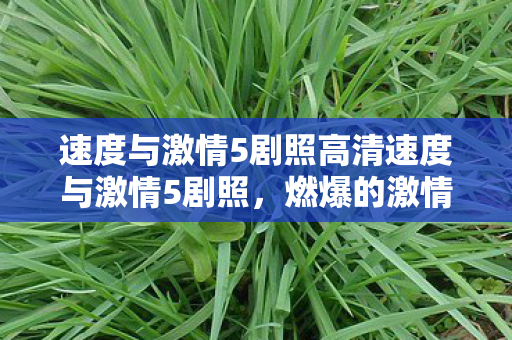 速度与激情5剧照高清速度与激情5剧照图片