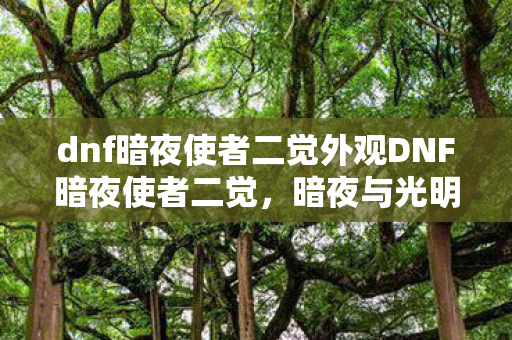 dnf暗夜使者二觉外观DNF暗夜使者二觉图片