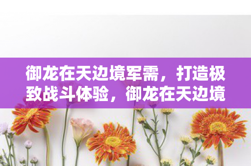 御龙在天边境军需图片