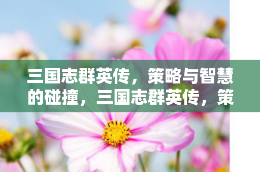 策略与智慧的碰撞图片