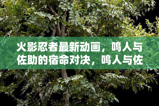 火影忍者最新动画震撼来袭图片