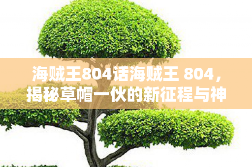 揭秘草帽一伙的新征程与神秘岛屿图片