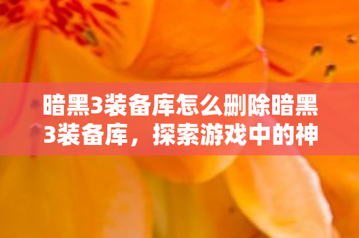 暗黑3装备库怎么删除暗黑3装备库图片