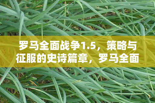 策略与征服的史诗篇章图片