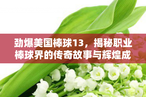 揭秘职业棒球界的传奇故事与辉煌成就图片