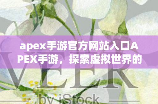 apex手游官方网站入口APEX手游图片