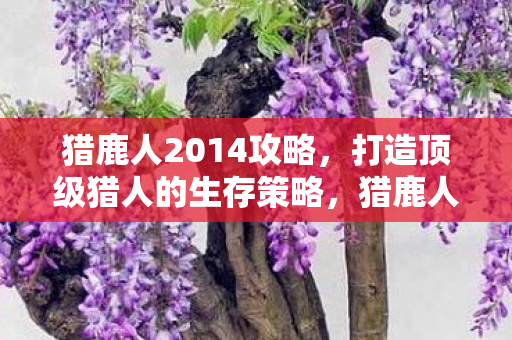 打造顶级猎人的生存策略图片