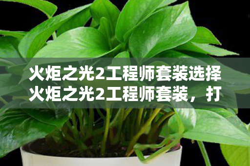 火炬之光2工程师套装选择火炬之光2工程师套装图片