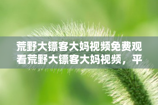 荒野大镖客大妈视频免费观看荒野大镖客大妈视频图片