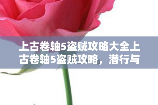 上古卷轴5盗贼攻略大全上古卷轴5盗贼攻略图片
