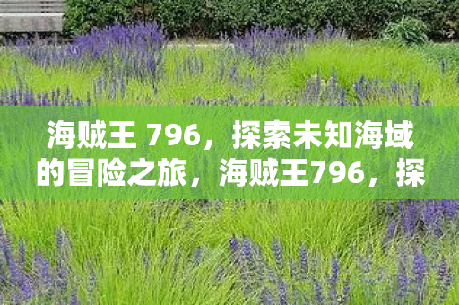 探索未知海域的冒险之旅图片
