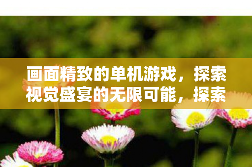 探索视觉盛宴的无限可能图片