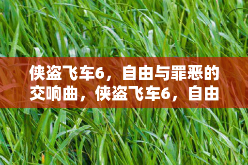 自由与罪恶的交响曲图片