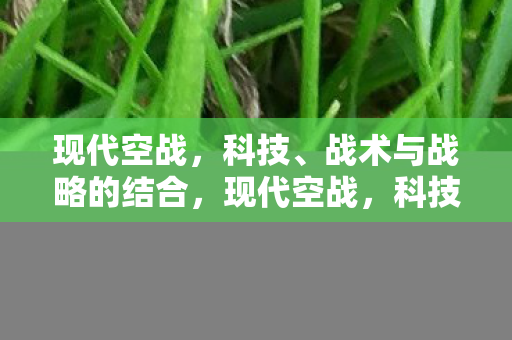 战术与战略的结合图片