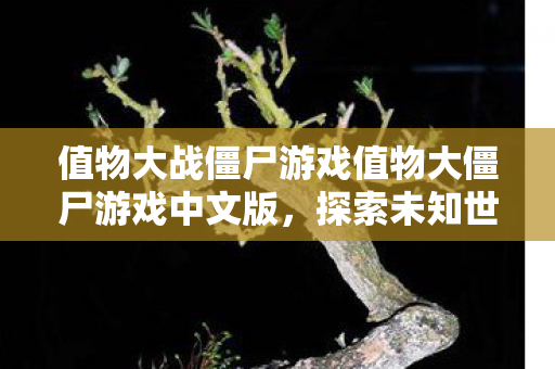 值物大战僵尸游戏值物大僵尸游戏中文版图片
