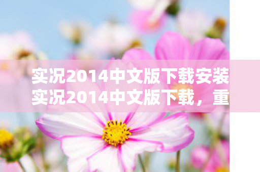 实况2014中文版下载安装实况2014中文版下载图片
