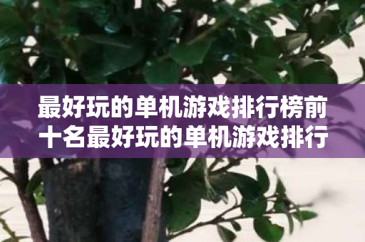 最好玩的单机游戏排行榜前十名最好玩的单机游戏排行榜图片