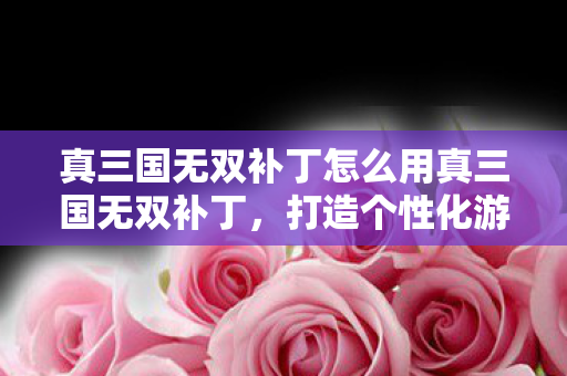 如何使用真三国无双补丁打造个性化游戏体验图片