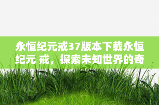 永恒纪元戒37版本下载永恒纪元 戒图片