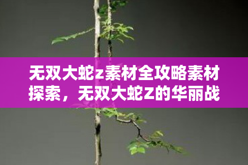 无双大蛇Z的华丽战斗与丰富剧情图片