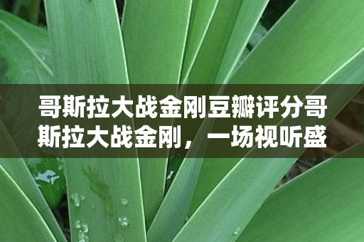 哥斯拉大战金刚豆瓣评分哥斯拉大战金刚图片