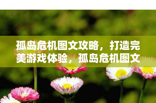 孤岛危机图文攻略图片