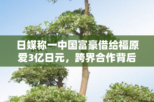 日媒称一中国富豪借给福原爱3亿日元图片