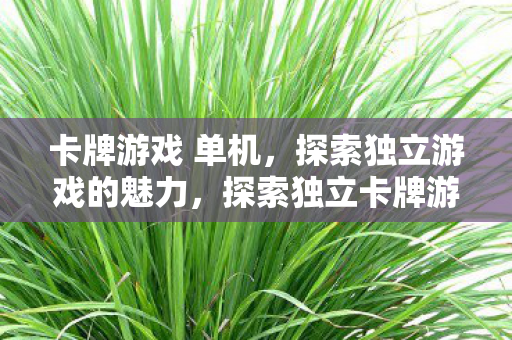 探索独立卡牌游戏的魅力图片