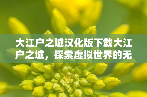 大江户之城汉化版下载大江户之城图片