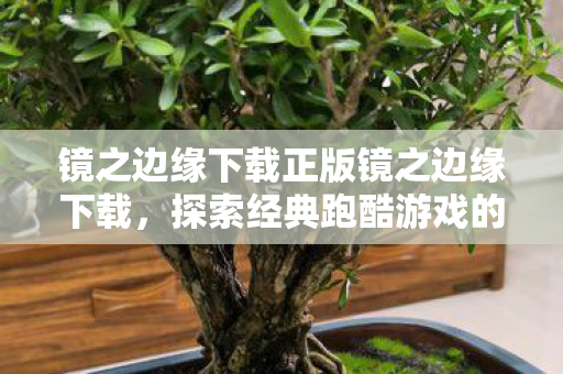 镜之边缘下载正版镜之边缘下载图片