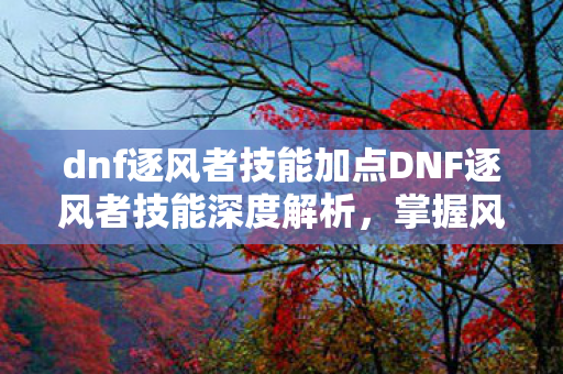 dnf逐风者技能加点DNF逐风者技能深度解析图片