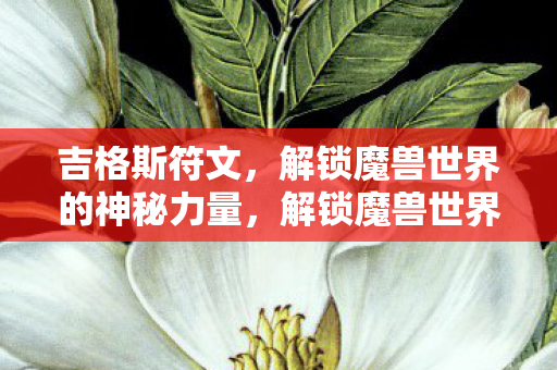 解锁魔兽世界的神秘力量图片