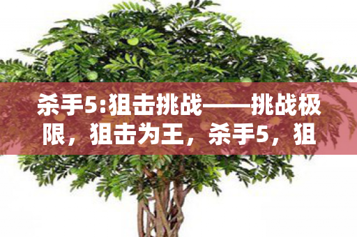 谁才是狙击之王图片