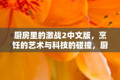 烹饪的艺术与科技的碰撞图片