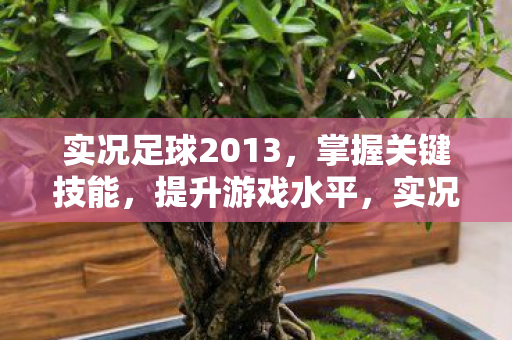实况足球2013图片