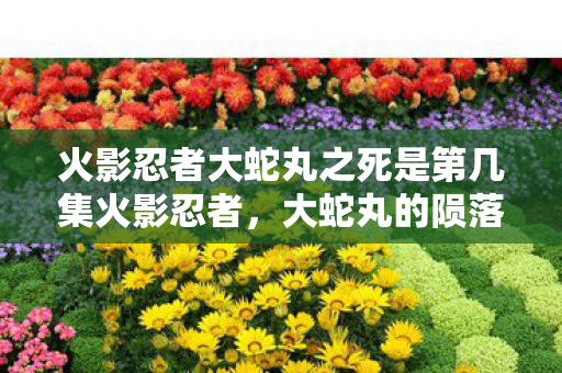 火影忍者大蛇丸之死是第几集火影忍者图片
