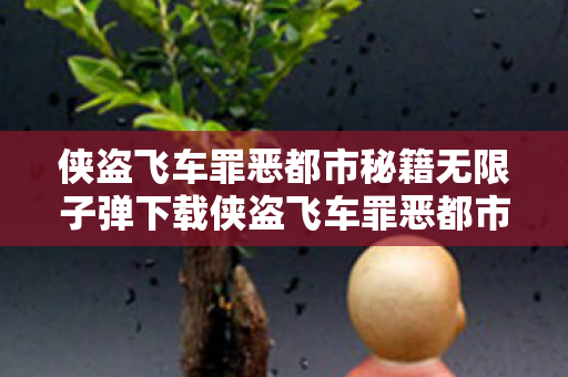 侠盗飞车罪恶都市秘籍无限子弹下载侠盗飞车罪恶都市秘籍图片