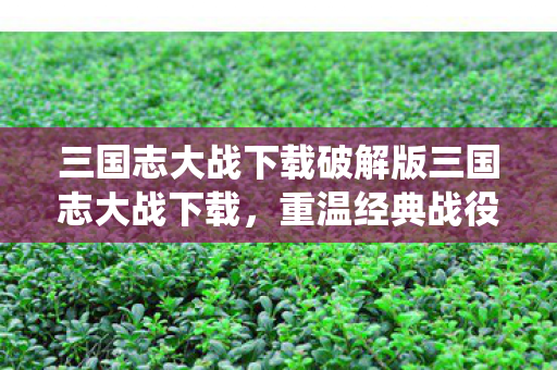 三国志大战下载破解版三国志大战下载图片