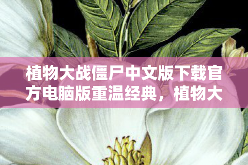 植物大战僵尸中文版下载官方电脑版重温经典图片