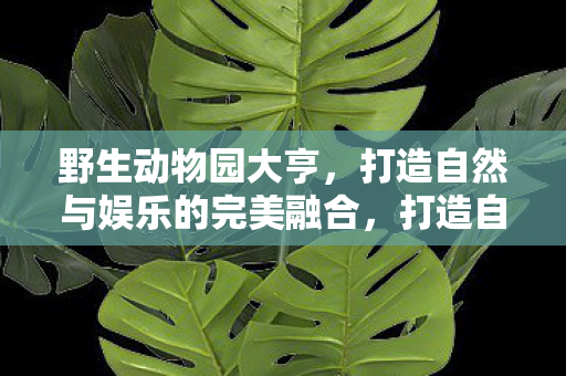 打造自然与娱乐的完美融合图片