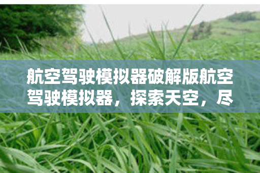 航空驾驶模拟器破解版航空驾驶模拟器图片
