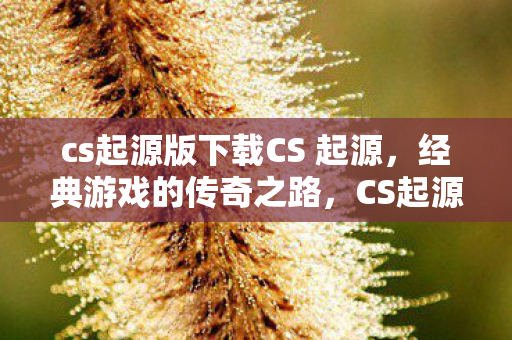 cs起源版下载CS 起源图片